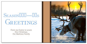 Christmas Season's Greetings Reindeer at Sunset Cards  8